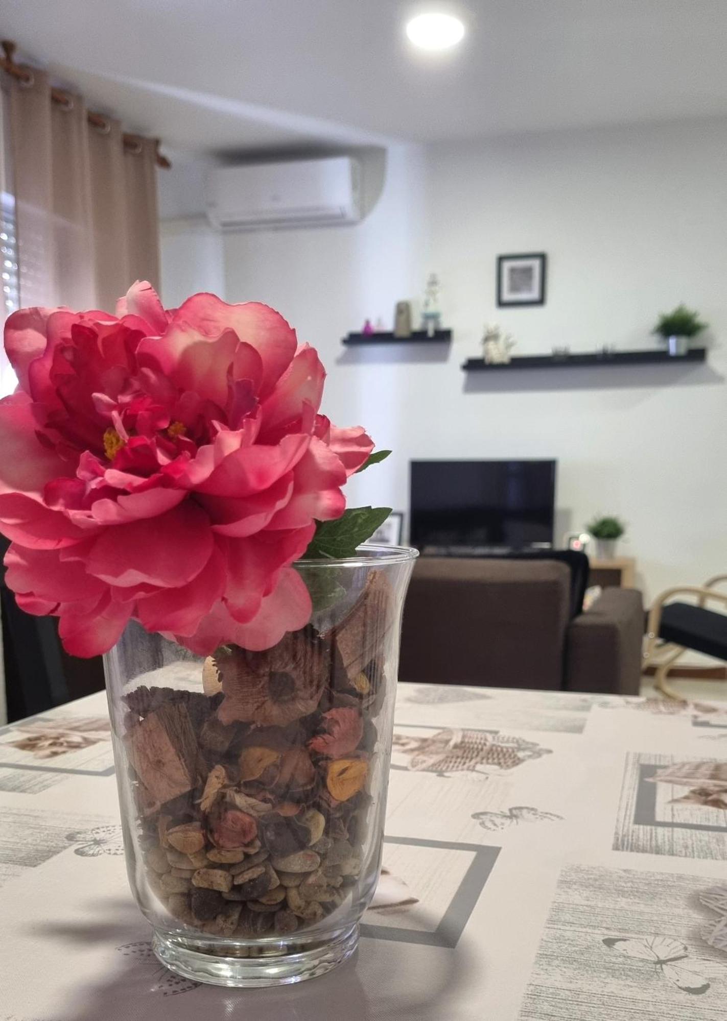 Apartamento Cayetano Rota Kültér fotó